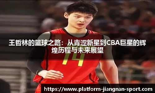 王哲林的篮球之路：从青涩新星到CBA巨星的辉煌历程与未来展望